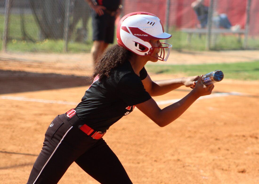 North holds off Charlotte in 5A13 softball semis News, Sports, Jobs